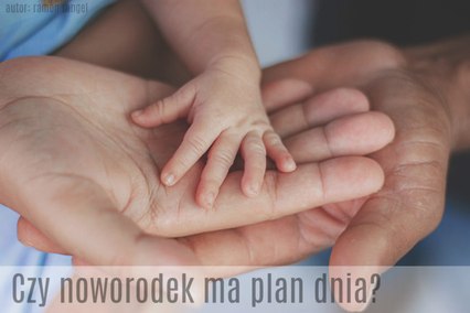 plan dnia z noworodkiem w pierwszym miesiącu życia dziecka