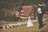 plener Ślubny w Zakopanym