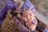 zdjęcie noworodkowe w fioletowych odcieniach
