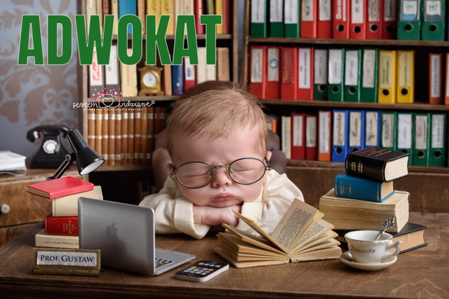 sesja noworodkowa dla Adwokatów