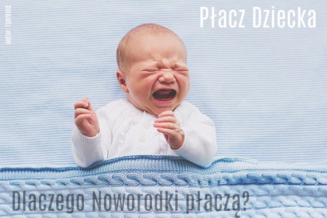 płaczący nowordek