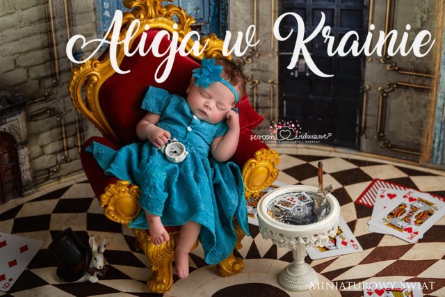 zdjęcie noworodka – Miniaturowy Świat, stylizacja Alicja w krainie czarów
