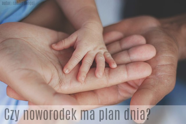 plan dnia z noworodkiem w pierwszym miesiącu życia dziecka